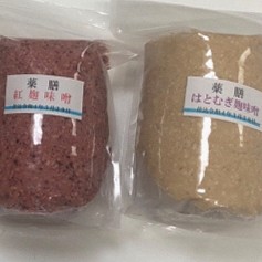 発酵仕込み会〈春・味噌〉