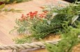 季節の花のしめ縄ワークショップ